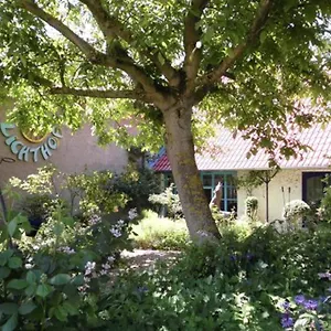 Gasthof Gastehaus Und Cafe - Lichthof